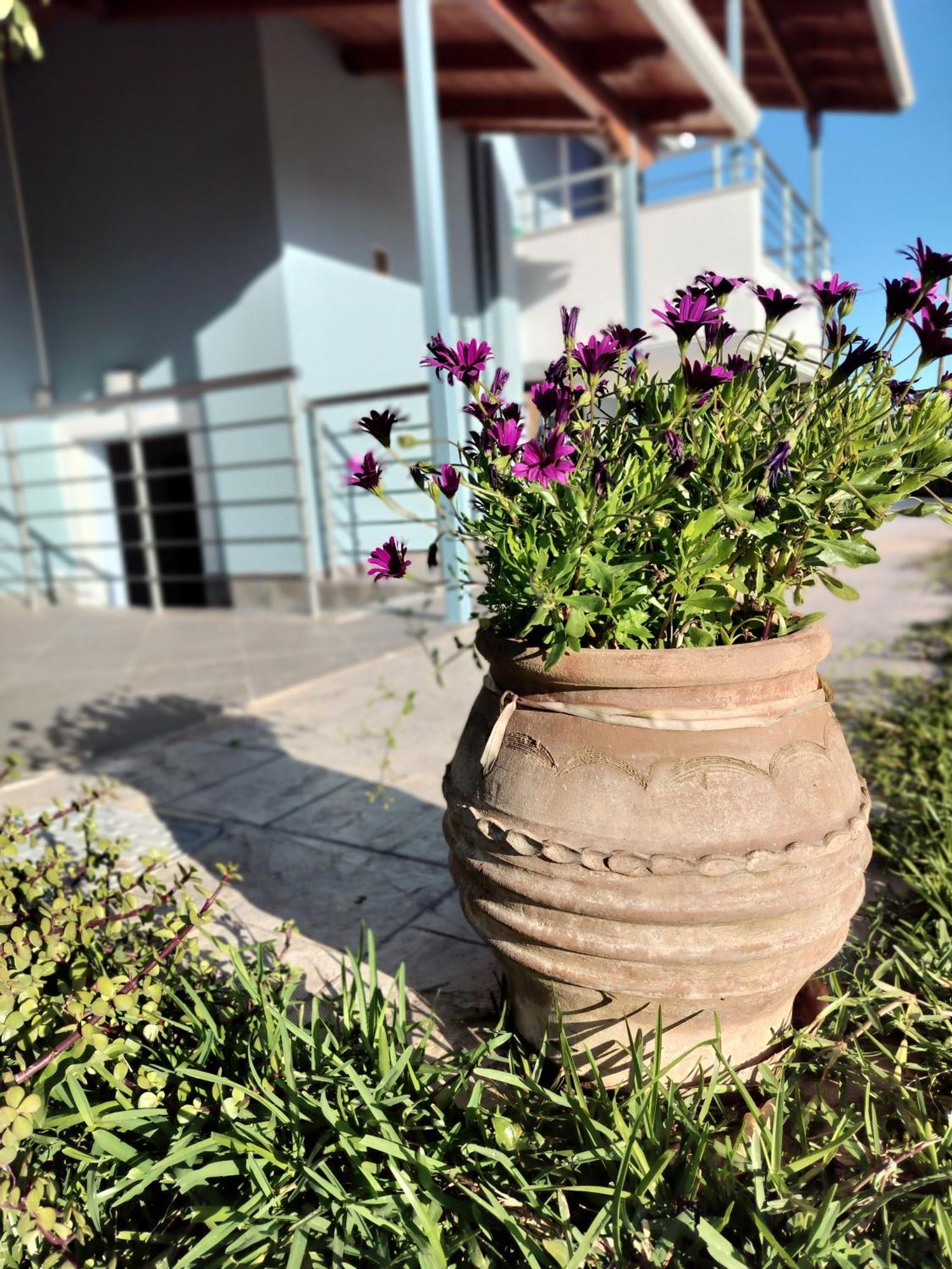 Apartament Ada'S House Mytikas  Zewnętrze zdjęcie